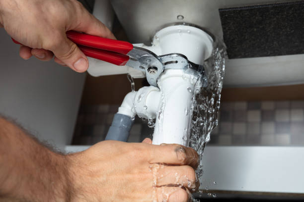 Best Water damage cleanup near me  in Bloomington, TX