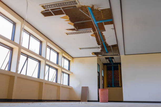 Best Professional water damage repair  in Bloomington, TX