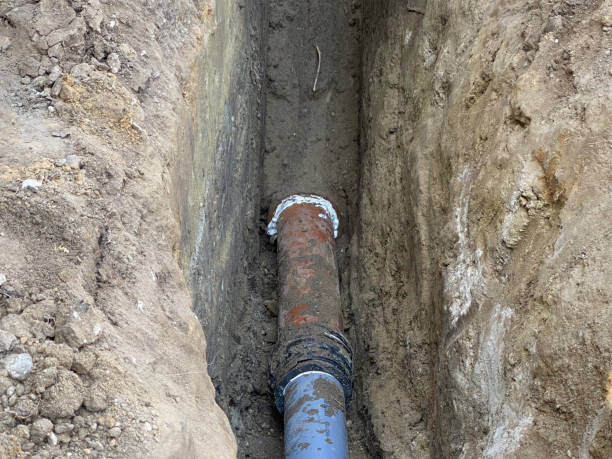Best Flood restoration services  in Bloomington, TX