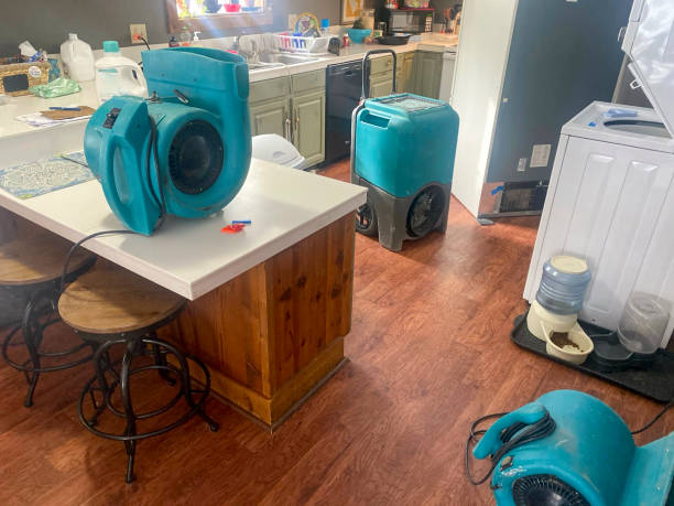Best Water damage restoration near me  in Bloomington, TX