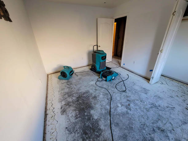 Best Water damage cleanup near me  in Bloomington, TX