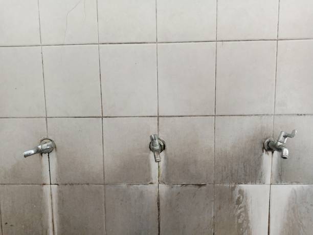 Best Local water damage restoration  in Bloomington, TX