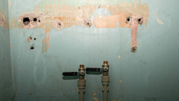 Best 24-hour water damage restoration  in Bloomington, TX
