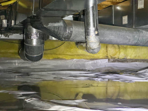 Best Flood restoration services  in Bloomington, TX